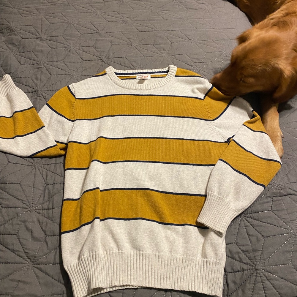 Cat & Jack Striped Sweater in Yellow and Cream